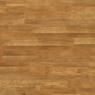 Golden Koa