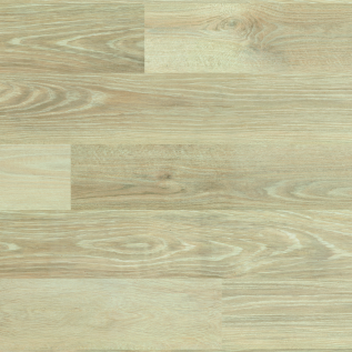 New England Elm