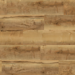 Oxford Maple