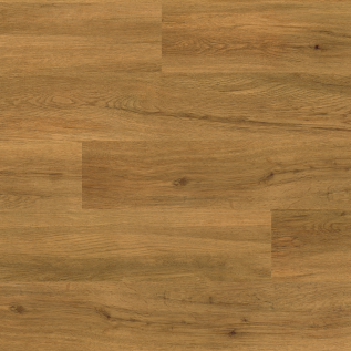 Schoolhouse Oak